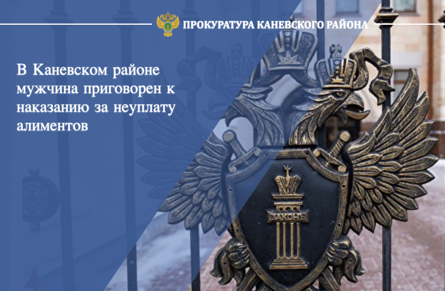 В Каневском районе мужчина приговорен к наказанию за неуплату алиментов