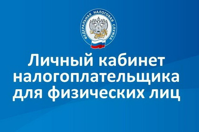 ФНС рассказывает о способах уплаты налога за несовершеннолетних детей через личный кабинет