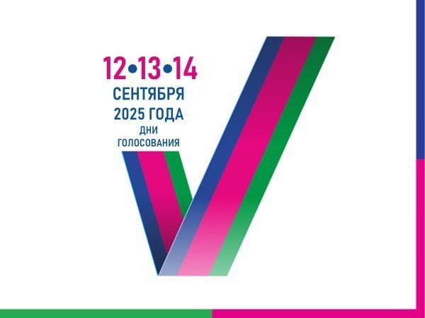 Дни голосования 