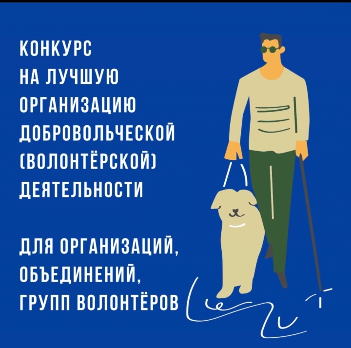 Объявлен конкурс на лучшую организацию добровольческой (волонтерской) деятельности