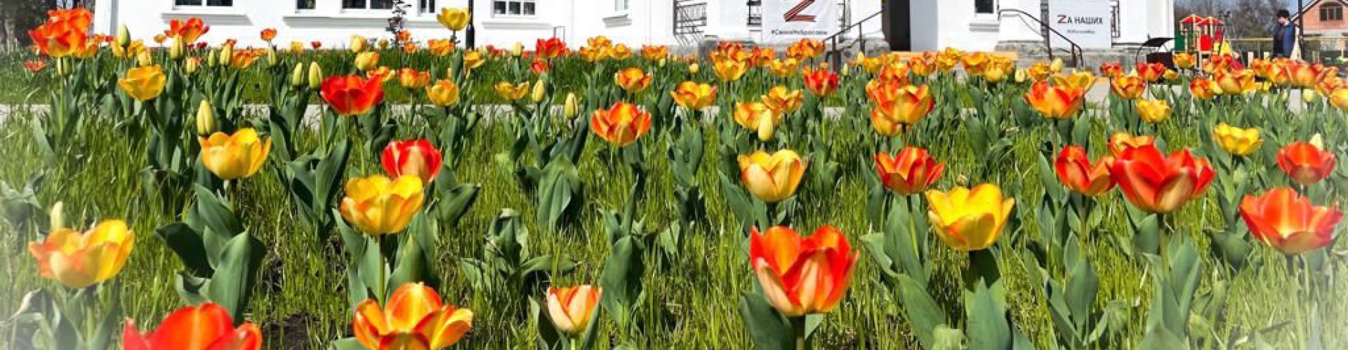 Каневской район