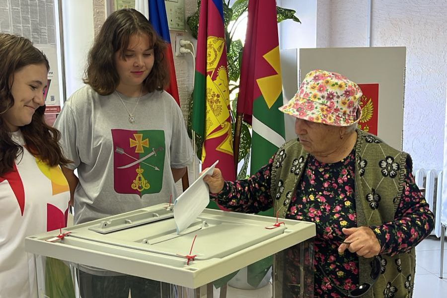 В организации голосования задействованы волонтёры