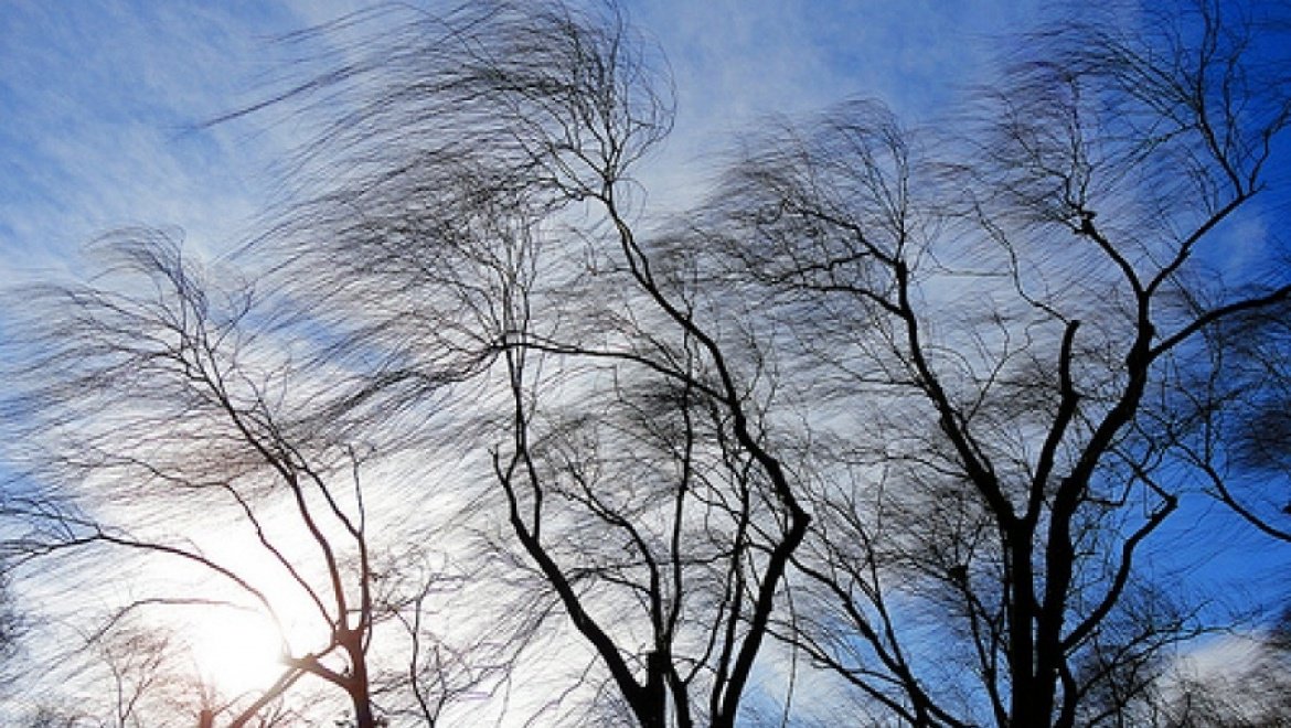 В Каневском районе ожидается усиление ветра