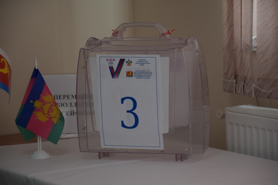 Жители района могут проголосовать на дому