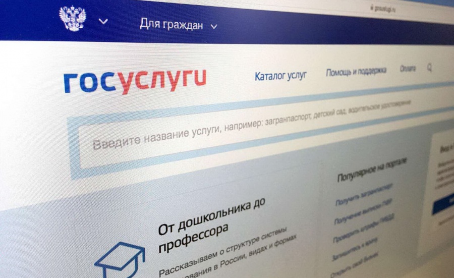 Получить государственные услуги в электронном виде просто
