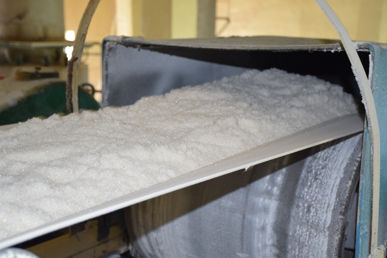 Каневской сахарный завод за сезон переработал свыше 480 тысяч тонн сырья