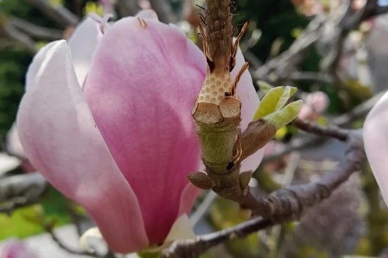 Стартовал ежегодный конкурс «Природа Краснодарского края»