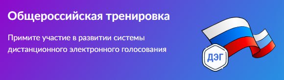 Стартовала общероссийская тренировка дистанционного электронного голосования!