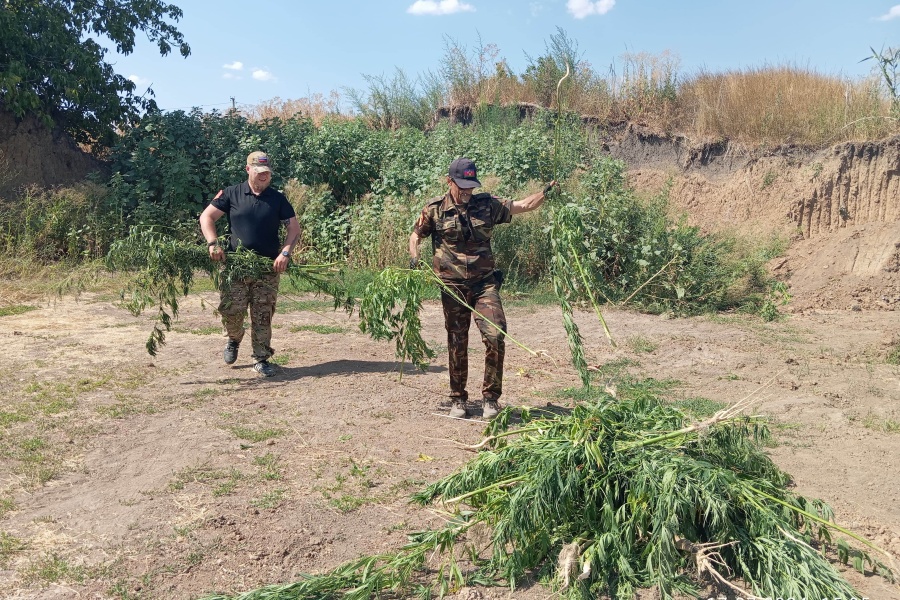 На территории Каневского района прошёл первый этап оперативно-профилактической операции «Мак 2024» На территории Каневского района прошёл первый этап оперативно-профилактической операции «Мак 2024»