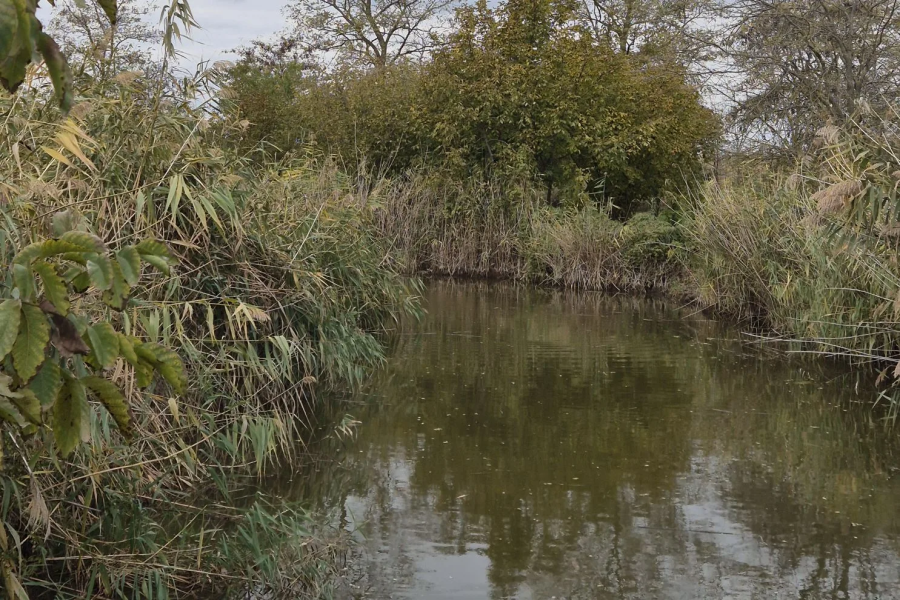 Жителям района напоминают о правилах электробезопасности во время рыбалки