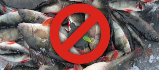В Каневском районе возбуждено уголовное дело о незаконной рыбной ловле