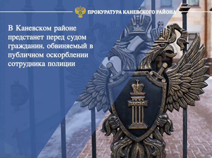 В Каневском районе предстанет перед судом гражданин, обвиняемый в публичном оскорблении сотрудника полиции