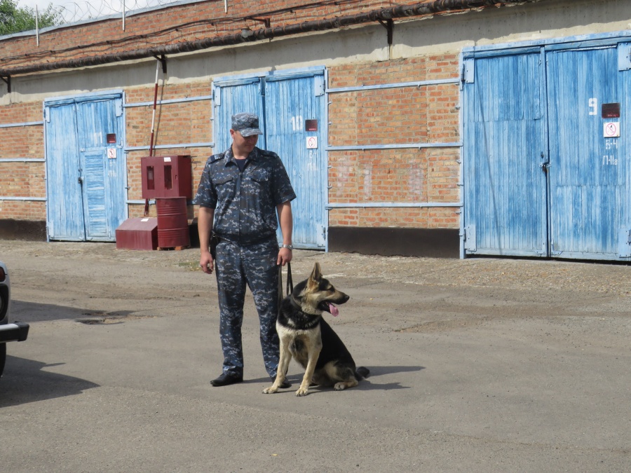 Полицейские Каневского района организовали для учащихся экскурсию в подразделениях полиции