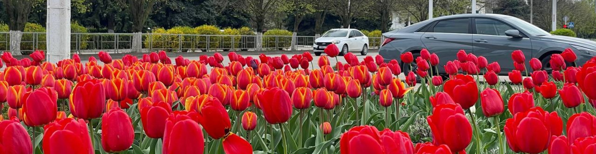 Каневской район