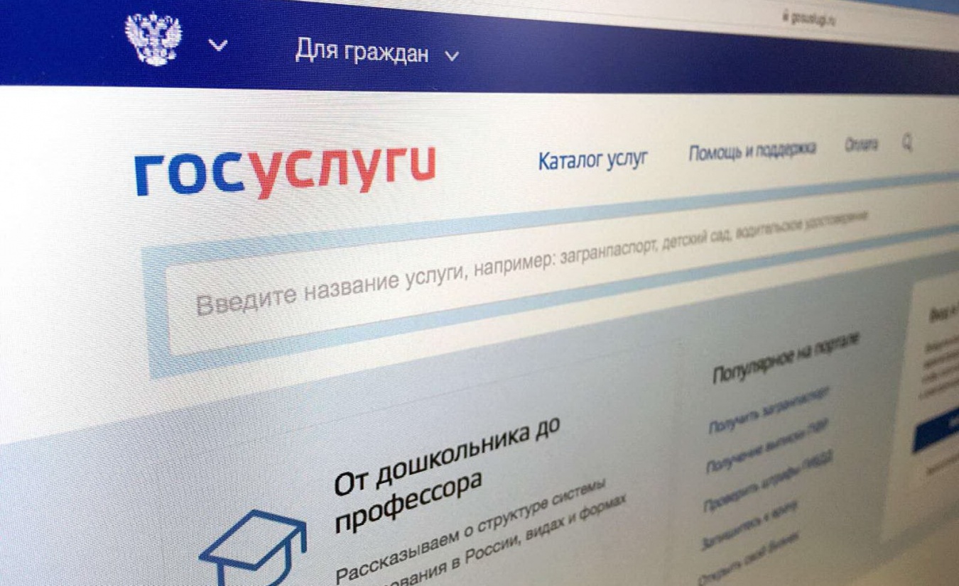 Получить государственные услуги в электронном виде просто