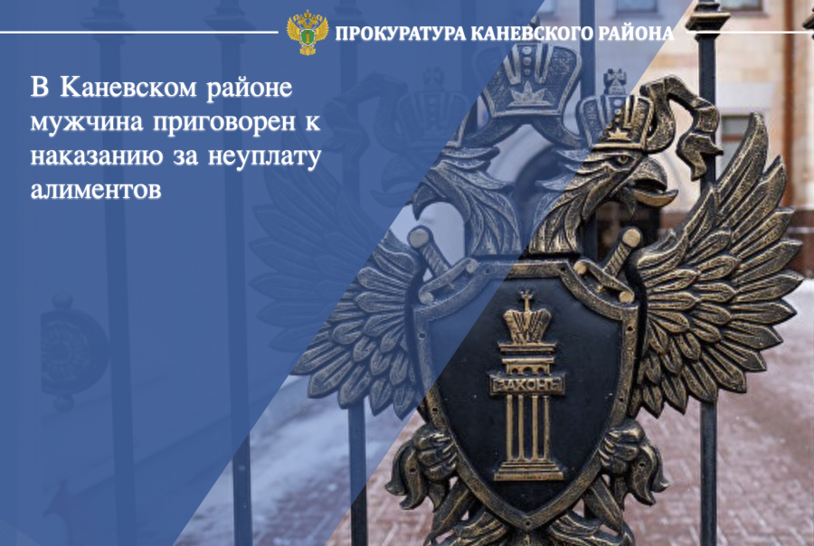 В Каневском районе мужчина приговорен к наказанию за неуплату алиментов