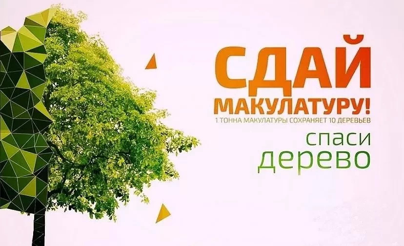 «Сдай макулатуру - спаси дерево!»: в Краснодарском крае стартует экомарафон 