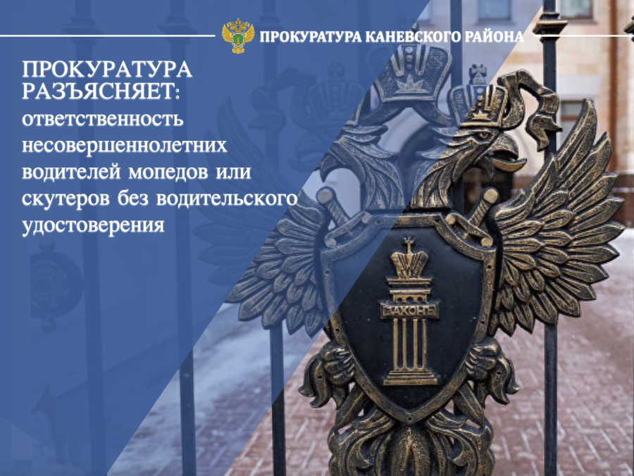 Прокуратура разъясняет, что ждет несовершеннолетних мопедистов и скутеристов без водительского удостоверения Прокуратура разъясняет, что ждет несовершеннолетних мопедистов и скутеристов без водительского удостоверения