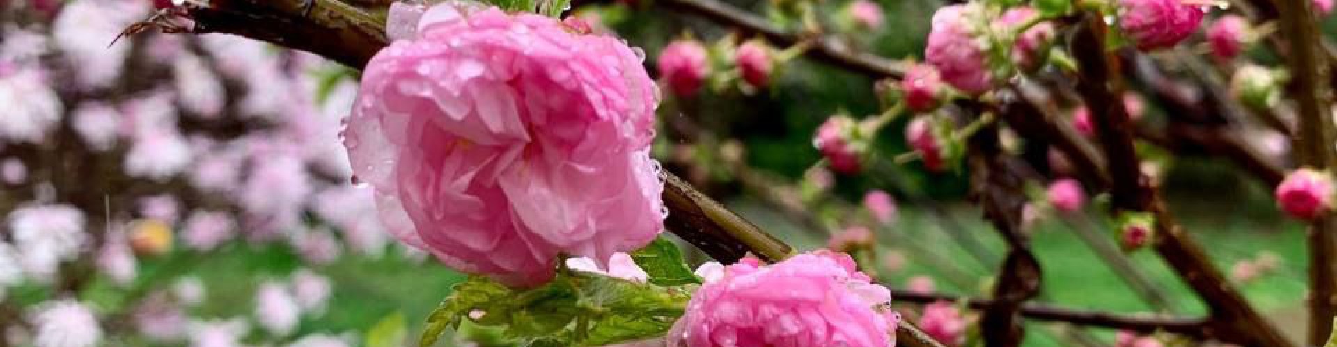 Каневской район