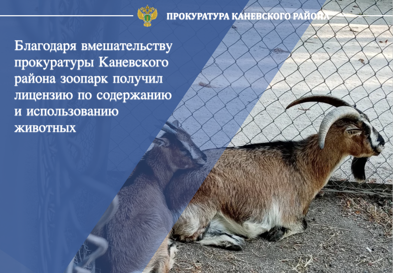 Благодаря вмешательству прокуратуры Каневского района зоопарк получил лицензию по содержанию и использованию животных