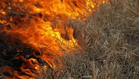 В Каневском районе сохраняется высокая пожароопасность