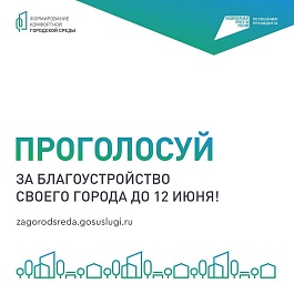 Осталось чуть более двух недель до завершения голосования за объекты благоустройства