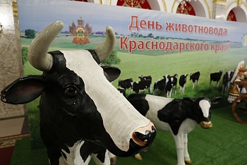 Каневской район – один из лучших в крае в отрасли животноводства