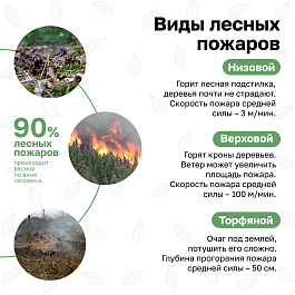 Министерство природных ресурсов Кубани напоминает о соблюдению правил пожарной безопасности