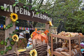 Каневчане снова в лидерах по итогам жатвы 2019 года