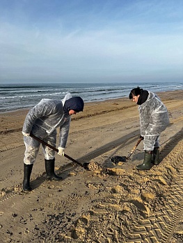 Каждый день с морем