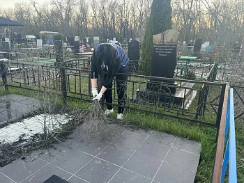 Чистая память