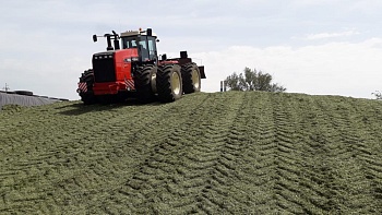 Аграрии Каневского района заготавливают корма и проводят уходные работы на всходах сельхозкультур
