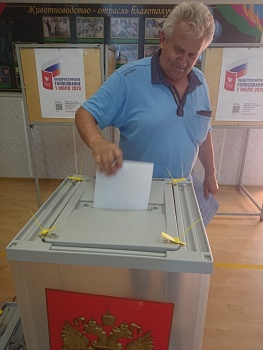 Досрочное голосование по поправкам в Конституцию