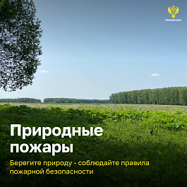 Министерство природных ресурсов Кубани напоминает о соблюдению правил пожарной безопасности