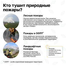 Министерство природных ресурсов Кубани напоминает о соблюдению правил пожарной безопасности