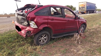 27 августа в 15 часов 50 минут на автодороге Краснодар-Ейск 