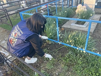 Чистая память