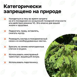 Министерство природных ресурсов Кубани напоминает о соблюдению правил пожарной безопасности