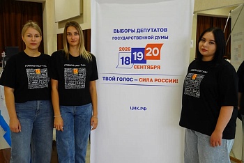 В организации голосования задействованы волонтёры