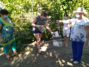 Голосование на дому – просто и безопасно