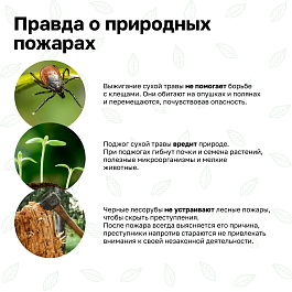 Министерство природных ресурсов Кубани напоминает о соблюдению правил пожарной безопасности
