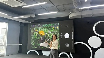 Стоп-снято!