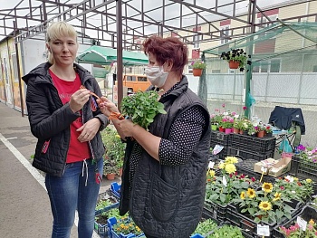 В Каневском районе проводят акцию «Георгиевская ленточка»