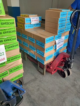 Территориальная избирательная комиссия Каневская получает бюллетени для голосования на выборах депутатов Законодательного Собрания Краснодарского края седьмого созыва