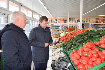 Депутатский визит