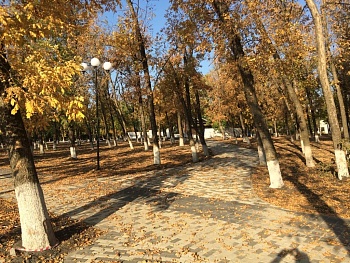 В Каневском районе завершаются работы по реконструкции станичных парков