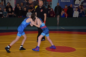 В спорткомплексе «Юность» впервые провели турнир по вольной борьбе, посвященный памяти Ивана Павловича Квитко