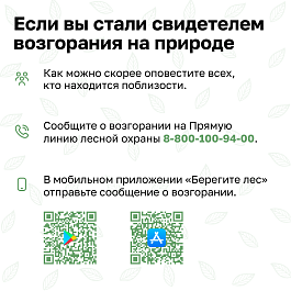 Министерство природных ресурсов Кубани напоминает о соблюдению правил пожарной безопасности