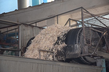 Каневской сахарный завод за сезон переработал свыше 480 тысяч тонн сырья